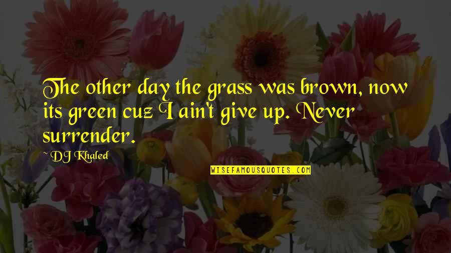 Dj Khaled Never Surrender Quotes By DJ Khaled: The other day the grass was brown, now