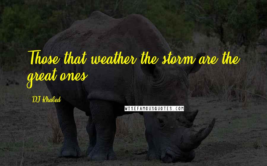 DJ Khaled quotes: Those that weather the storm are the great ones.
