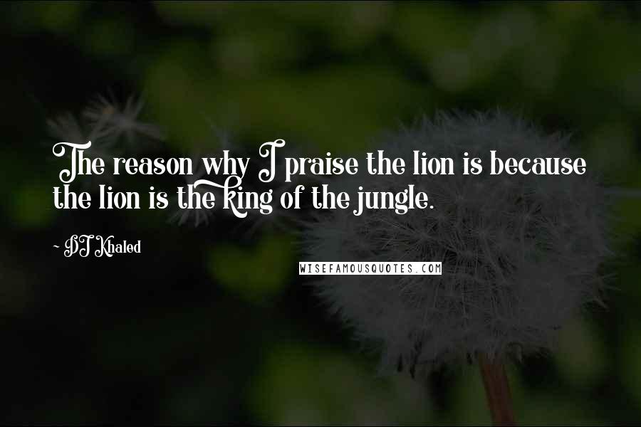 DJ Khaled quotes: The reason why I praise the lion is because the lion is the king of the jungle.