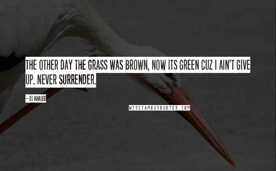 DJ Khaled quotes: The other day the grass was brown, now its green cuz I ain't give up. Never surrender.