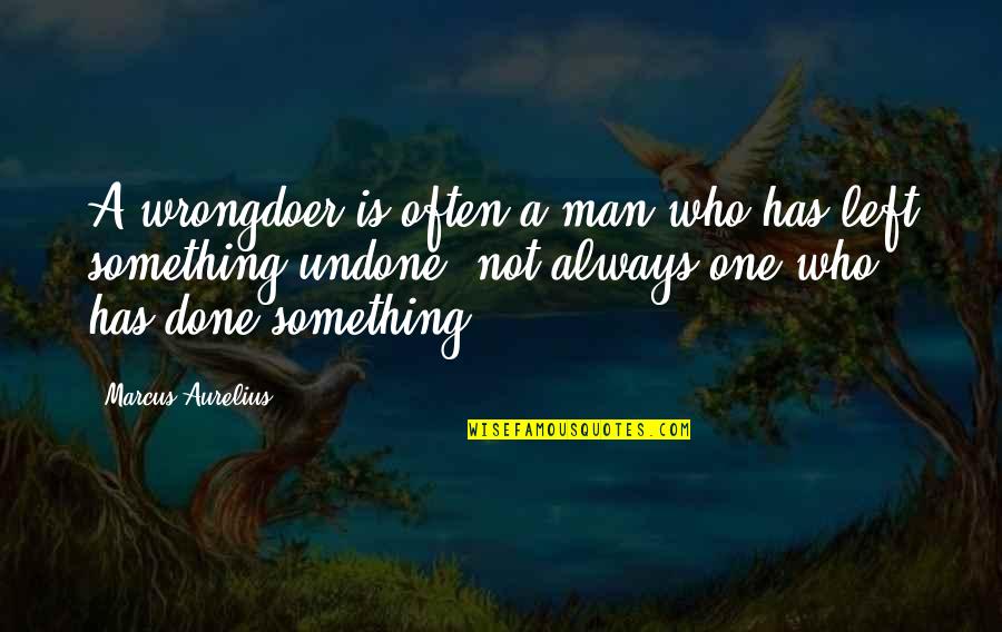 Dj Qualls The Core Quotes By Marcus Aurelius: A wrongdoer is often a man who has