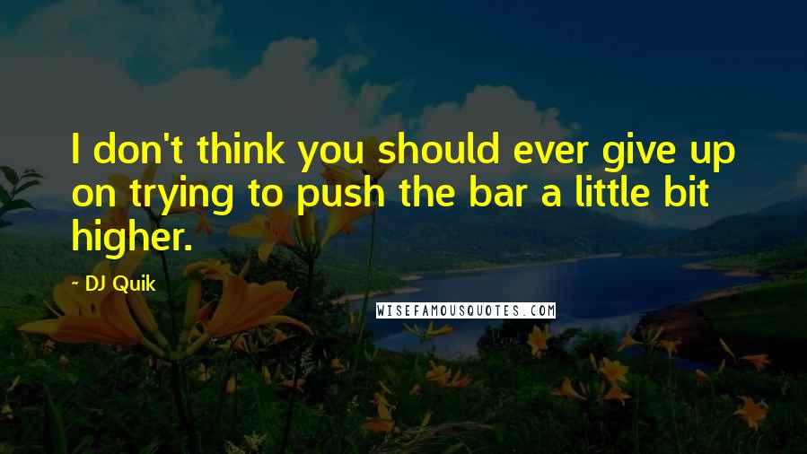 DJ Quik quotes: I don't think you should ever give up on trying to push the bar a little bit higher.