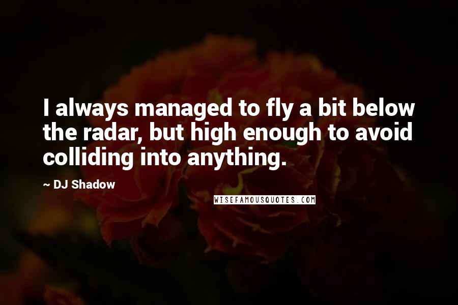 DJ Shadow quotes: I always managed to fly a bit below the radar, but high enough to avoid colliding into anything.