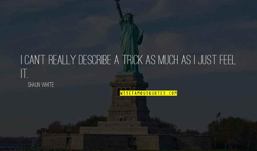 Djebel Mrhila Quotes By Shaun White: I can't really describe a trick as much