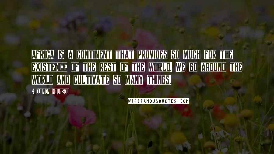 Djimon Hounsou quotes: Africa is a continent that provides so much for the existence of the rest of the world. We go around the world and cultivate so many things.