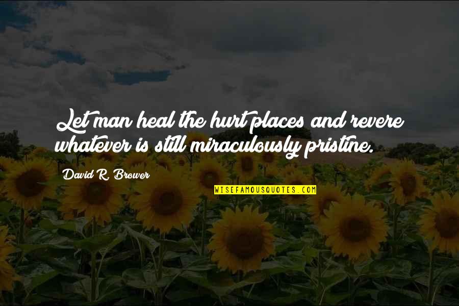 Djina Dzinovic Quotes By David R. Brower: Let man heal the hurt places and revere