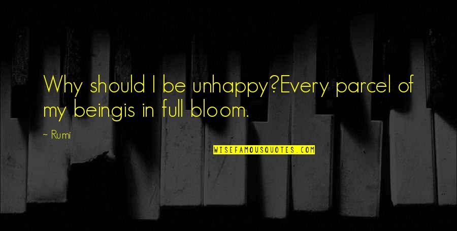 Djuraskovic Milo Quotes By Rumi: Why should I be unhappy?Every parcel of my