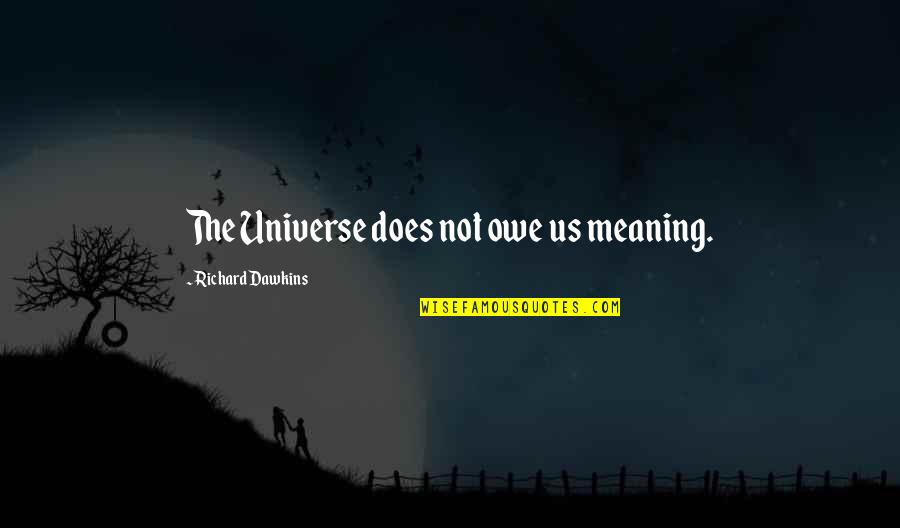 Dlatego Kocham Quotes By Richard Dawkins: The Universe does not owe us meaning. Dlatego Kocham Quotes By Richard Dawkins: The Universe does not owe us meaning.