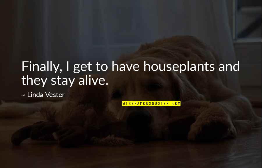 Dmanlamius Quotes By Linda Vester: Finally, I get to have houseplants and they Dmanlamius Quotes By Linda Vester: Finally, I get to have houseplants and they