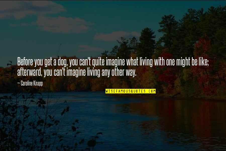 Dmard Therapy Quotes By Caroline Knapp: Before you get a dog, you can't quite Dmard Therapy Quotes By Caroline Knapp: Before you get a dog, you can't quite