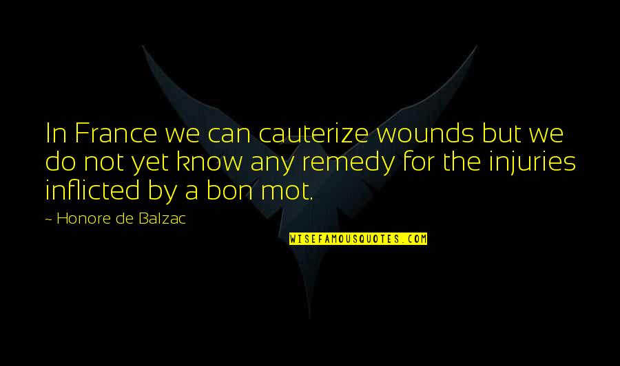Dmc 5 Griffon Quotes By Honore De Balzac: In France we can cauterize wounds but we Dmc 5 Griffon Quotes By Honore De Balzac: In France we can cauterize wounds but we