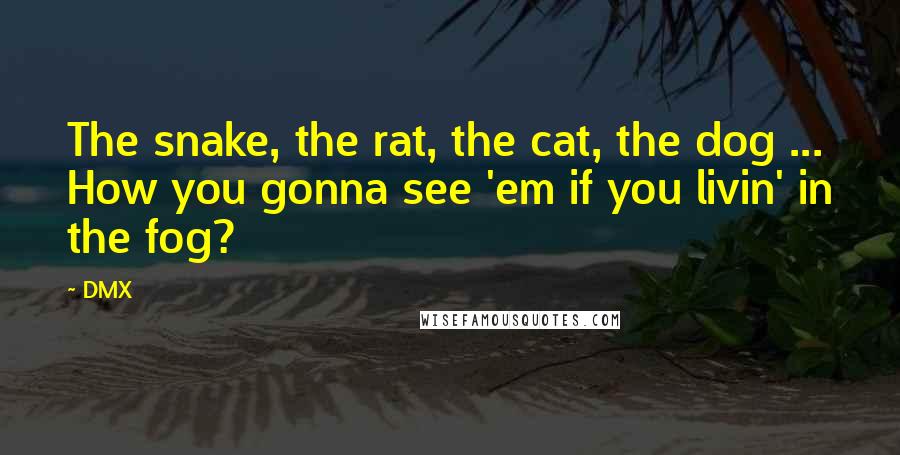 DMX quotes: The snake, the rat, the cat, the dog ... How you gonna see 'em if you livin' in the fog?