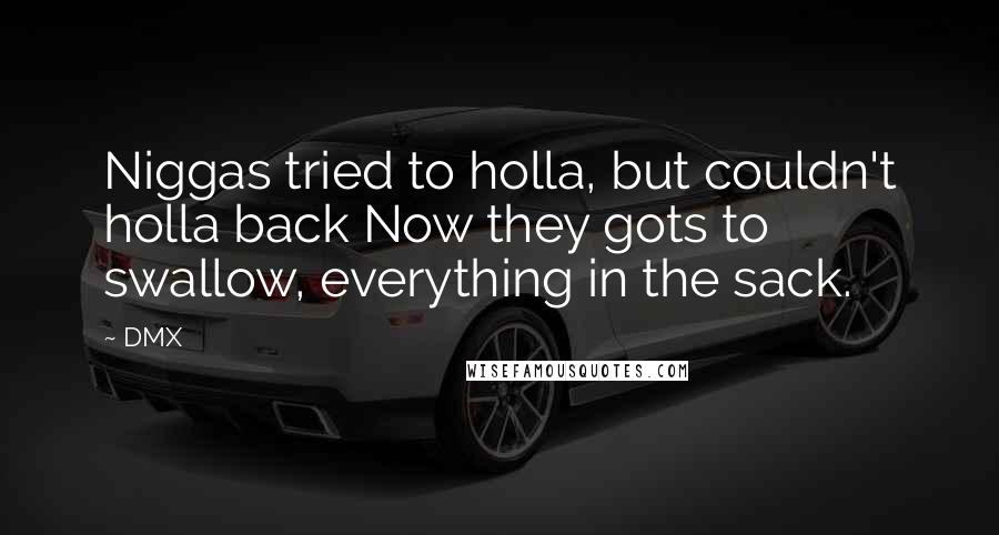 DMX quotes: Niggas tried to holla, but couldn't holla back Now they gots to swallow, everything in the sack.