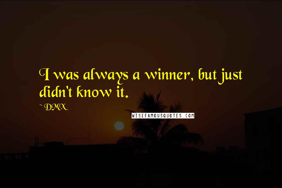 DMX quotes: I was always a winner, but just didn't know it.