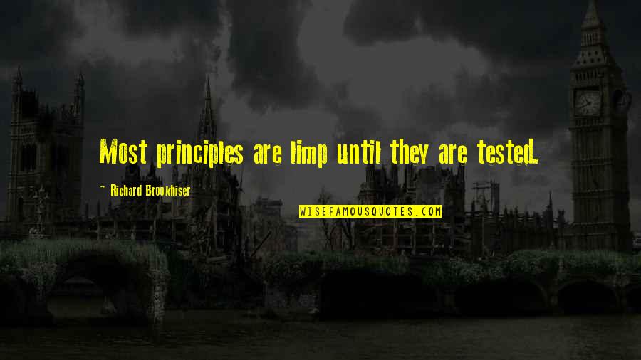 Dna And Rna Quotes By Richard Brookhiser: Most principles are limp until they are tested.