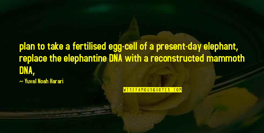 Dna Day Quotes By Yuval Noah Harari: plan to take a fertilised egg-cell of a