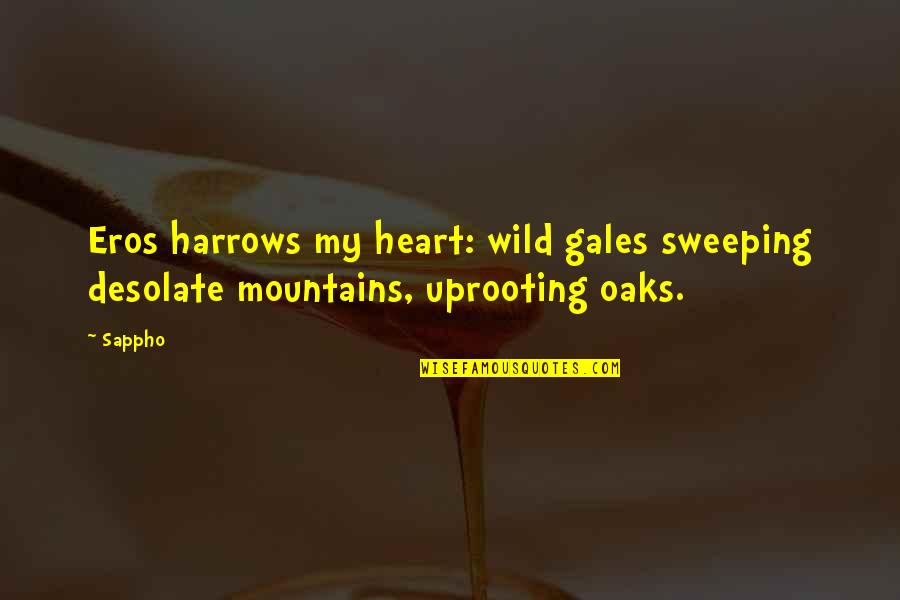 Dndmedia Quotes By Sappho: Eros harrows my heart: wild gales sweeping desolate