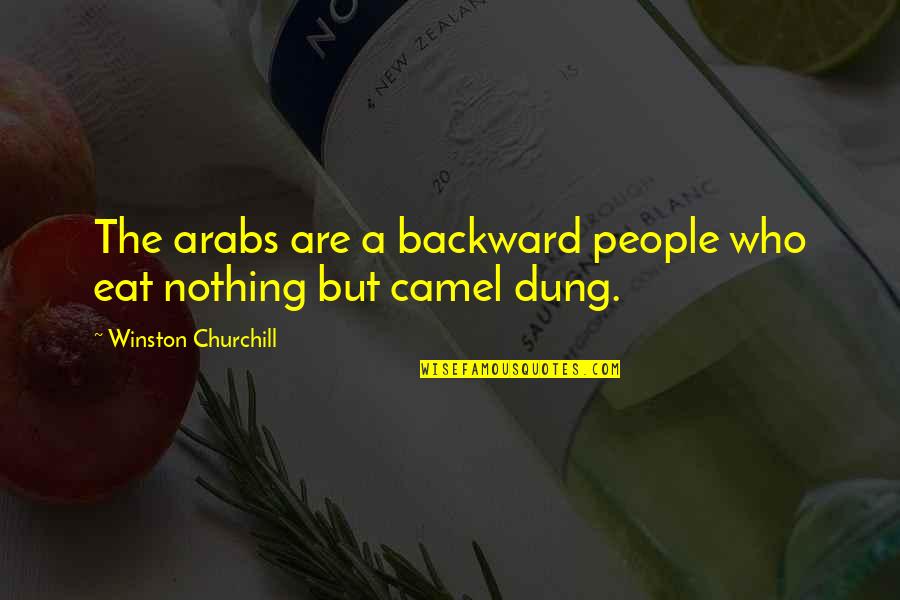 Dnem Rozhdeniya Quotes By Winston Churchill: The arabs are a backward people who eat
