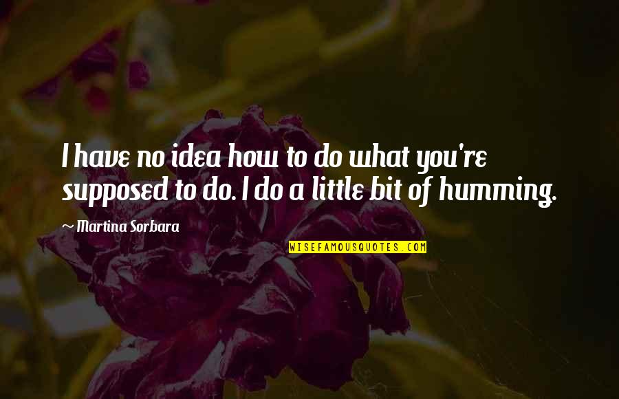 Do A Little Bit Quotes By Martina Sorbara: I have no idea how to do what