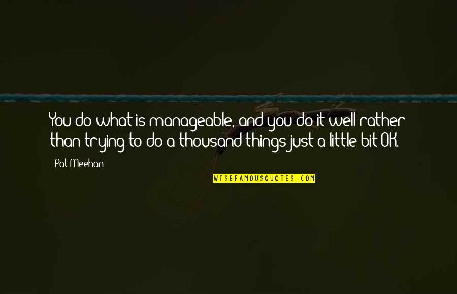 Do A Little Bit Quotes By Pat Meehan: You do what is manageable, and you do