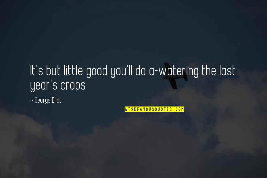 Do A Little Good Quotes By George Eliot: It's but little good you'll do a-watering the