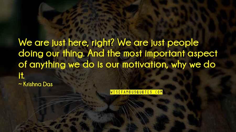 Do Anything Right Quotes By Krishna Das: We are just here, right? We are just