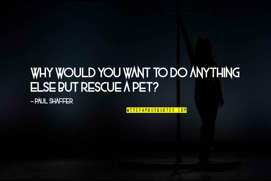 Do Anything You Want Quotes By Paul Shaffer: Why would you want to do anything else Do Anything You Want Quotes By Paul Shaffer: Why would you want to do anything else