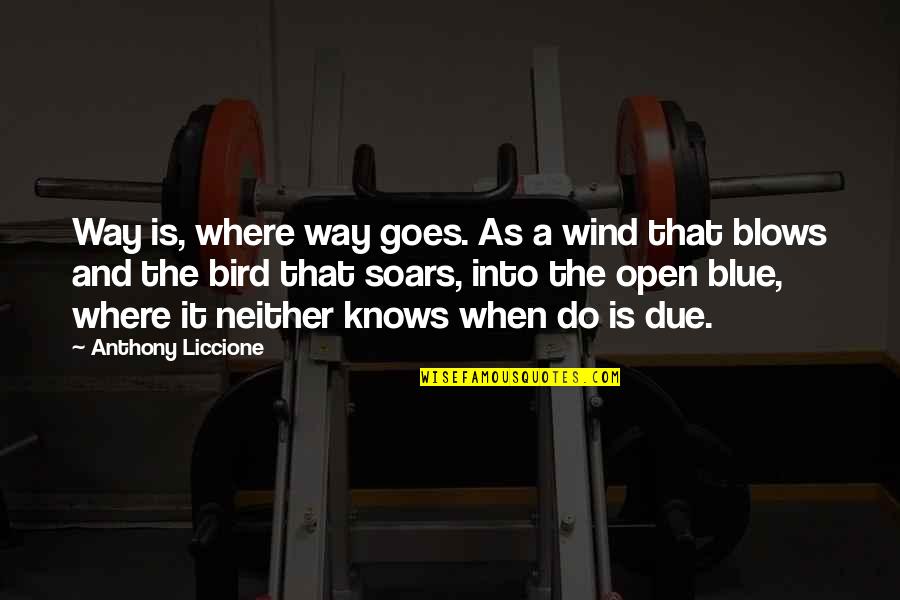Do Bird Quotes By Anthony Liccione: Way is, where way goes. As a wind Do Bird Quotes By Anthony Liccione: Way is, where way goes. As a wind