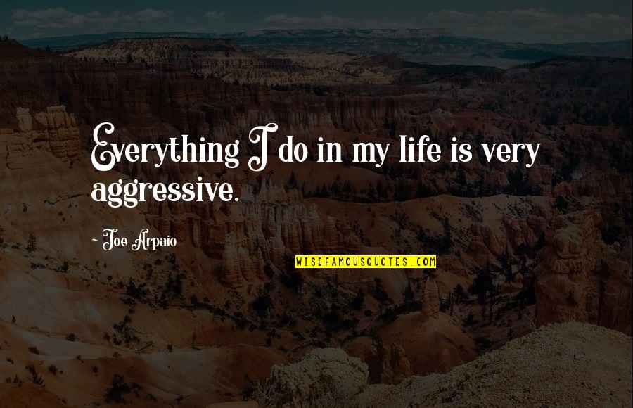 Do Everything In Life Quotes By Joe Arpaio: Everything I do in my life is very