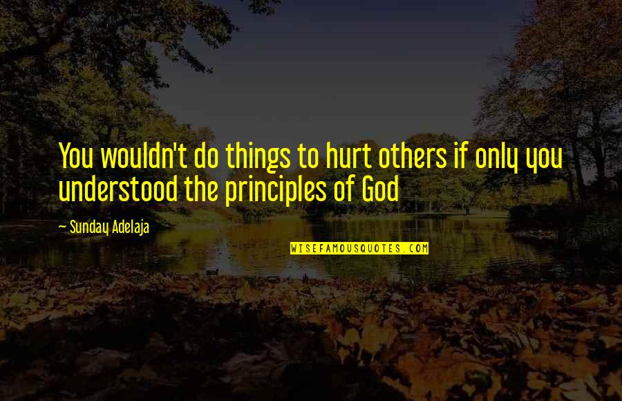 Do God's Work Quotes By Sunday Adelaja: You wouldn't do things to hurt others if
