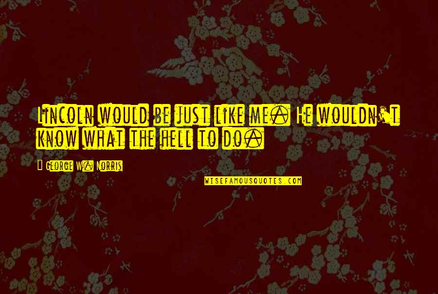 Do He Like Me Quotes By George W. Norris: Lincoln would be just like me. He wouldn't