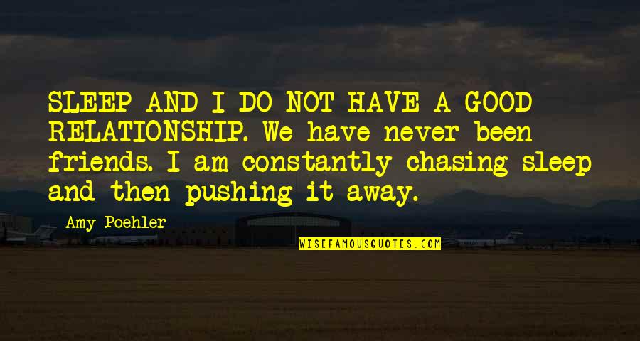 Do I Have Friends Quotes By Amy Poehler: SLEEP AND I DO NOT HAVE A GOOD Do I Have Friends Quotes By Amy Poehler: SLEEP AND I DO NOT HAVE A GOOD