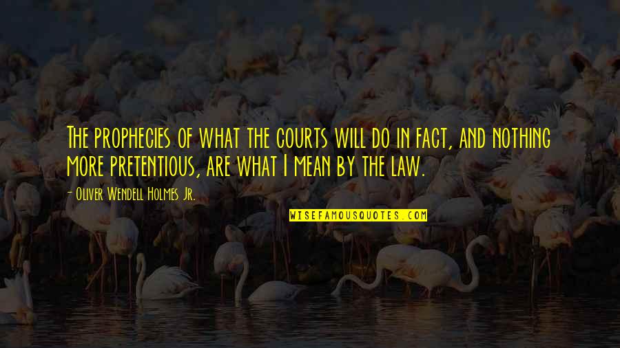 Do I Mean Nothing To You Quotes By Oliver Wendell Holmes Jr.: The prophecies of what the courts will do