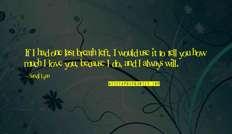 Do It Because You Love It Quotes By Sandi Lynn: If I had one last breath left, I Do It Because You Love It Quotes By Sandi Lynn: If I had one last breath left, I