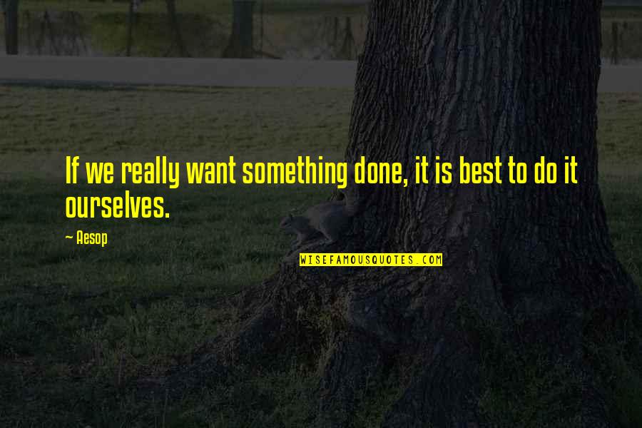 Do It Best Quotes By Aesop: If we really want something done, it is