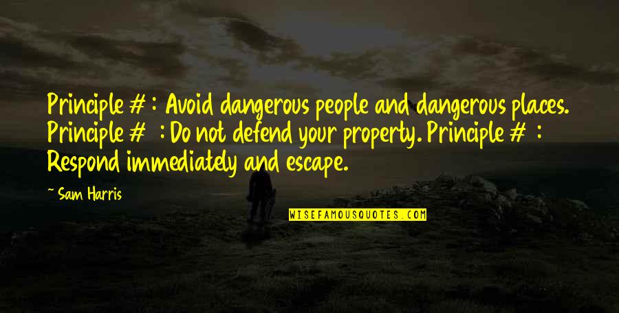Do It Immediately Quotes By Sam Harris: Principle #1: Avoid dangerous people and dangerous places.