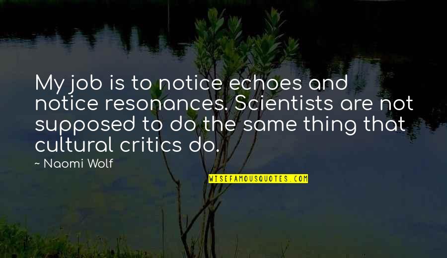 Do My Thing Quotes By Naomi Wolf: My job is to notice echoes and notice