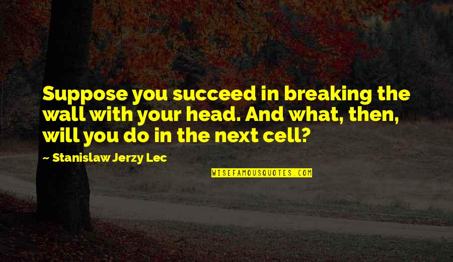 Do Next Quotes By Stanislaw Jerzy Lec: Suppose you succeed in breaking the wall with