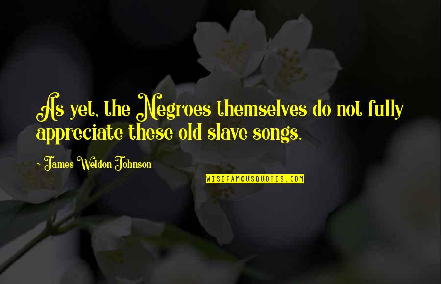 Do Not Appreciate Quotes By James Weldon Johnson: As yet, the Negroes themselves do not fully