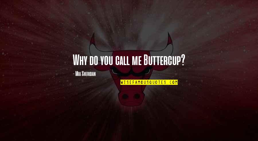 Do Not Call Me Quotes By Mia Sheridan: Why do you call me Buttercup?