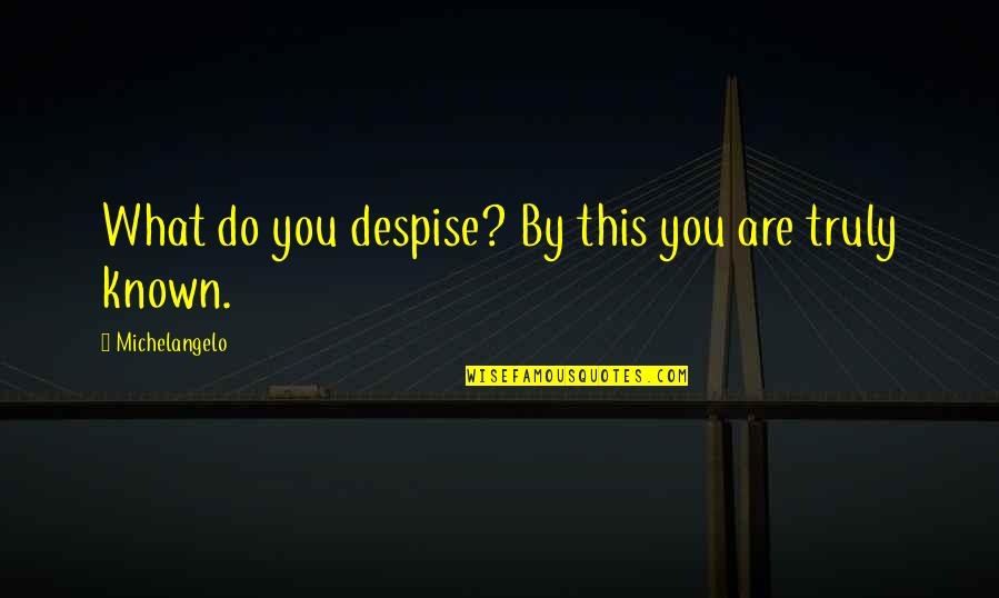 Do Not Despise Quotes By Michelangelo: What do you despise? By this you are