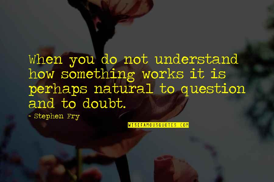 Do Not Doubt Quotes By Stephen Fry: When you do not understand how something works Do Not Doubt Quotes By Stephen Fry: When you do not understand how something works