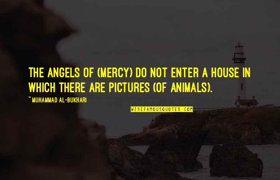 Do Not Enter Quotes By Muhammad Al-Bukhari: The Angels of (Mercy) do not enter a