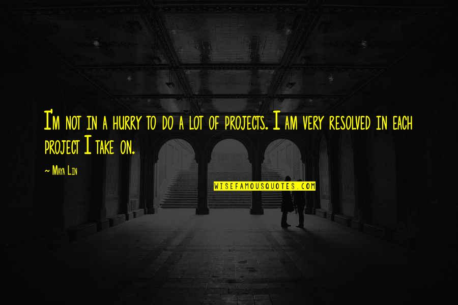Do Not Hurry Quotes By Maya Lin: I'm not in a hurry to do a