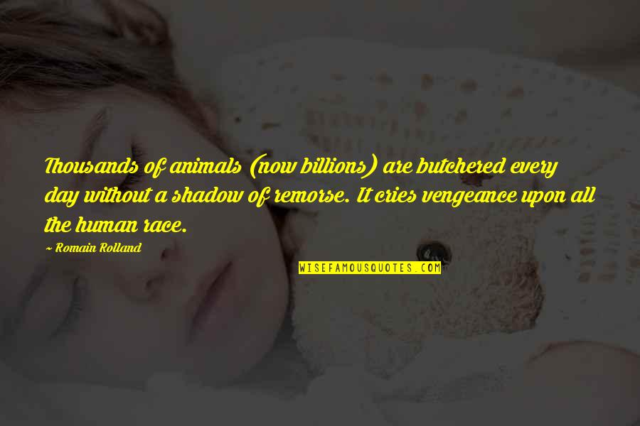 Do Not Judge Quickly Quotes By Romain Rolland: Thousands of animals (now billions) are butchered every