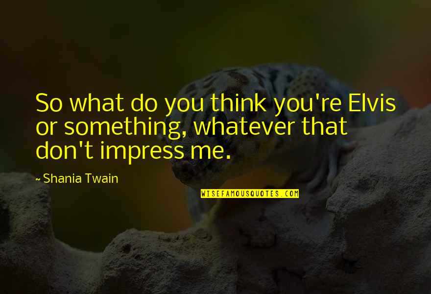 Do Or Don't Quotes By Shania Twain: So what do you think you're Elvis or