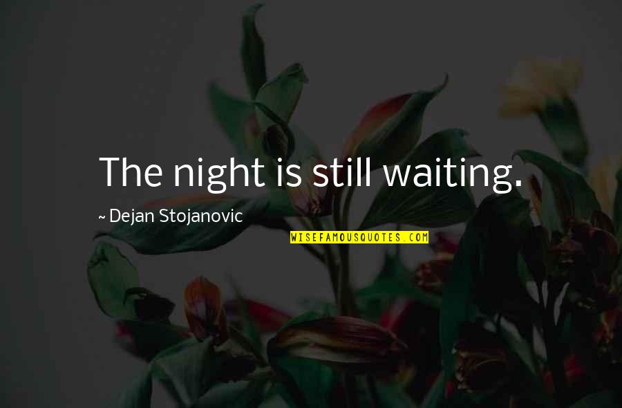 Do Poems Have Quotes By Dejan Stojanovic: The night is still waiting.