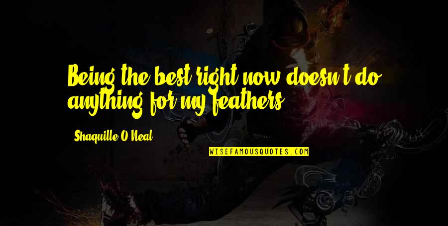 Do Right Now Quotes By Shaquille O'Neal: Being the best right now doesn't do anything Do Right Now Quotes By Shaquille O'Neal: Being the best right now doesn't do anything