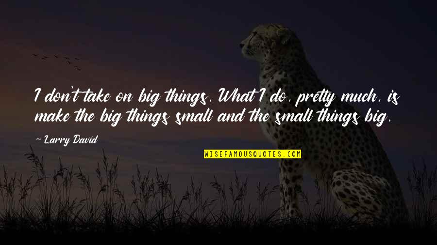 Do Small Things Quotes By Larry David: I don't take on big things. What I