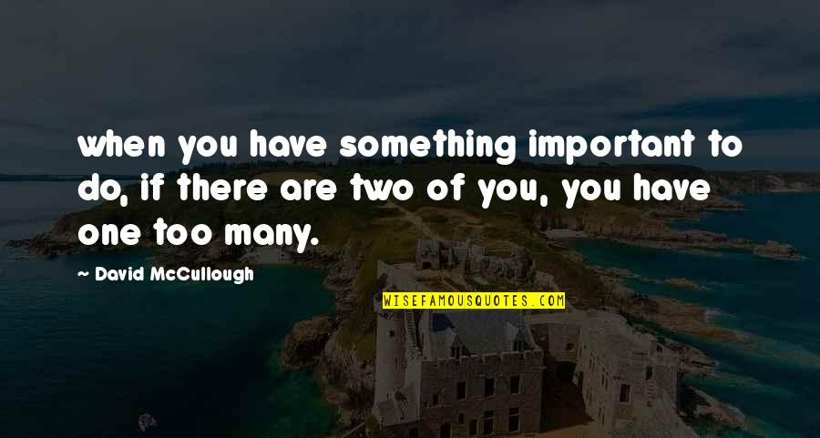 Do Something Important Quotes By David McCullough: when you have something important to do, if